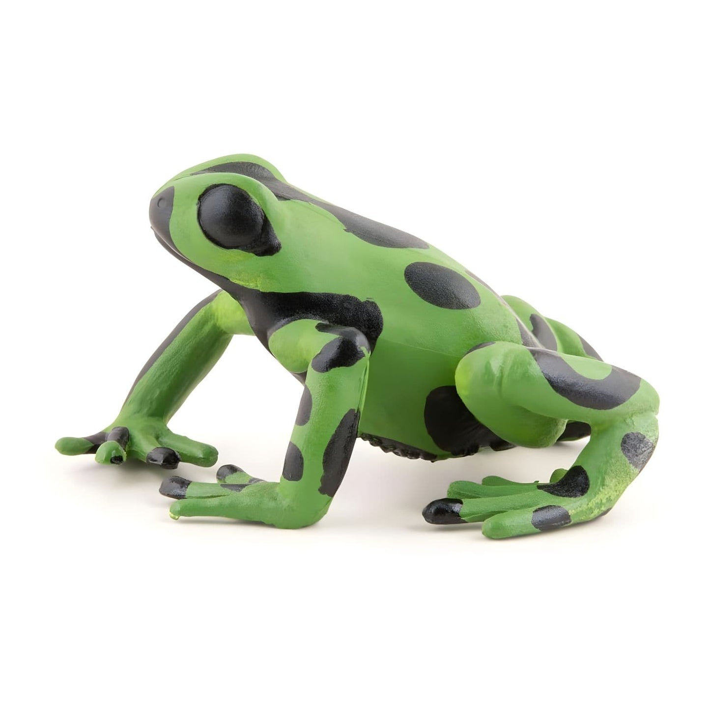 Figura de borracha rã-verde equatorial em vista complementar