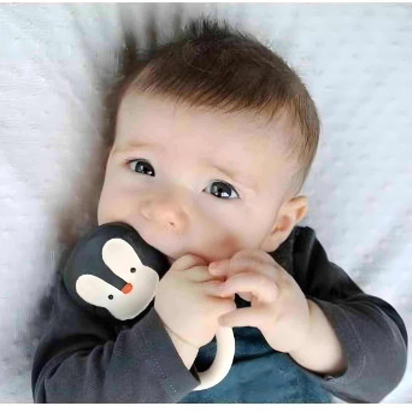 Apresentamos Mordedor Pinguim com o SKU 129044724 recomendado para + 0 meses