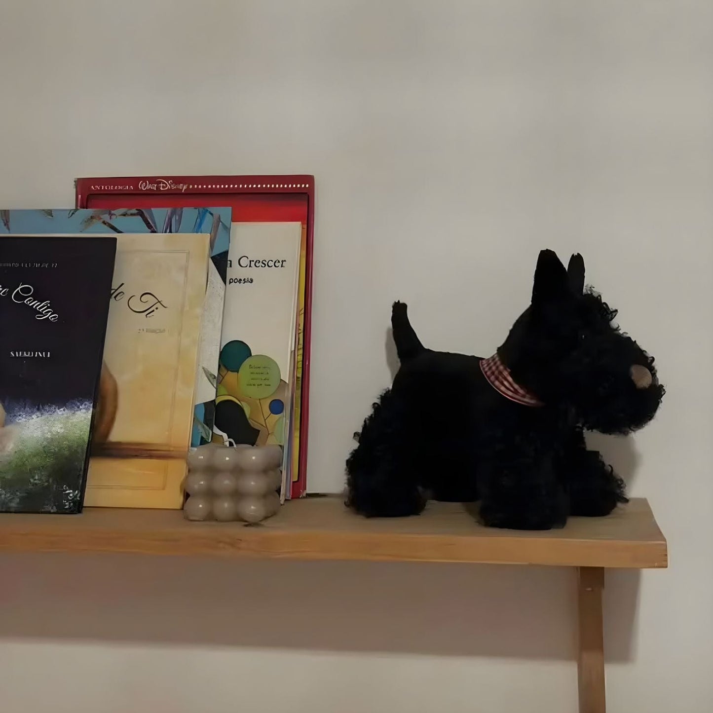 Apresentamos Cão de peluche - Walter com o SKU 723054925 recomendado para + 0 meses