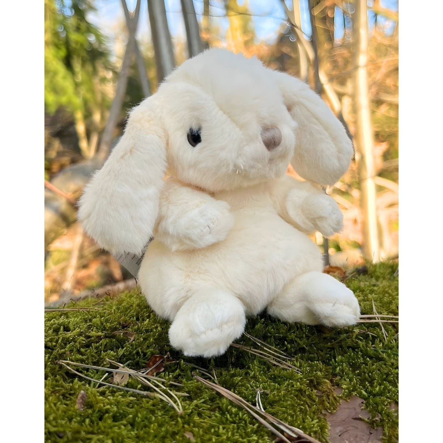 Apresentamos Coelho de Peluche branco 15 cm com o SKU 527920525 recomendado para + 6 meses