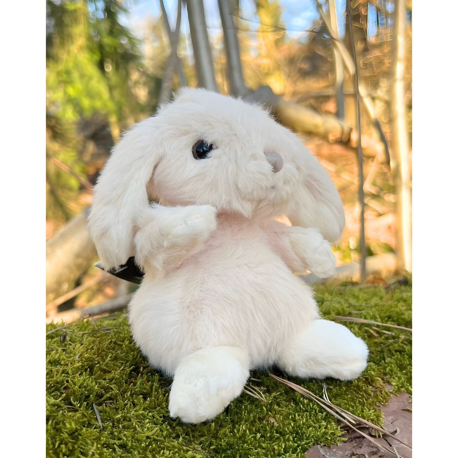 Apresentamos Coelho de Peluche rosa claro 15 cm com o SKU 527922925 recomendado para + 6 meses