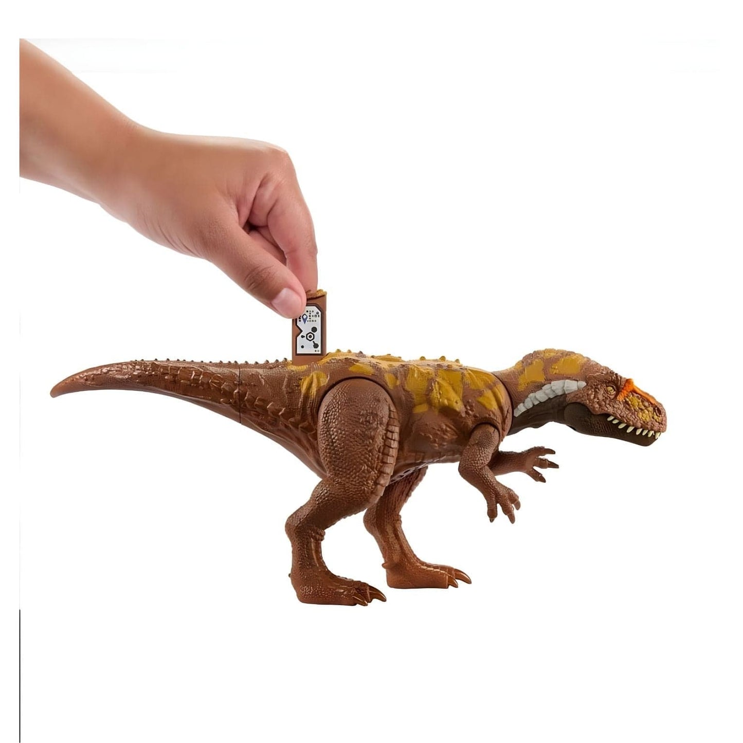 Apresentamos Jurassic World - Dinossauro Megalosaurus com o SKU 851925524 recomendado para + 4 anos