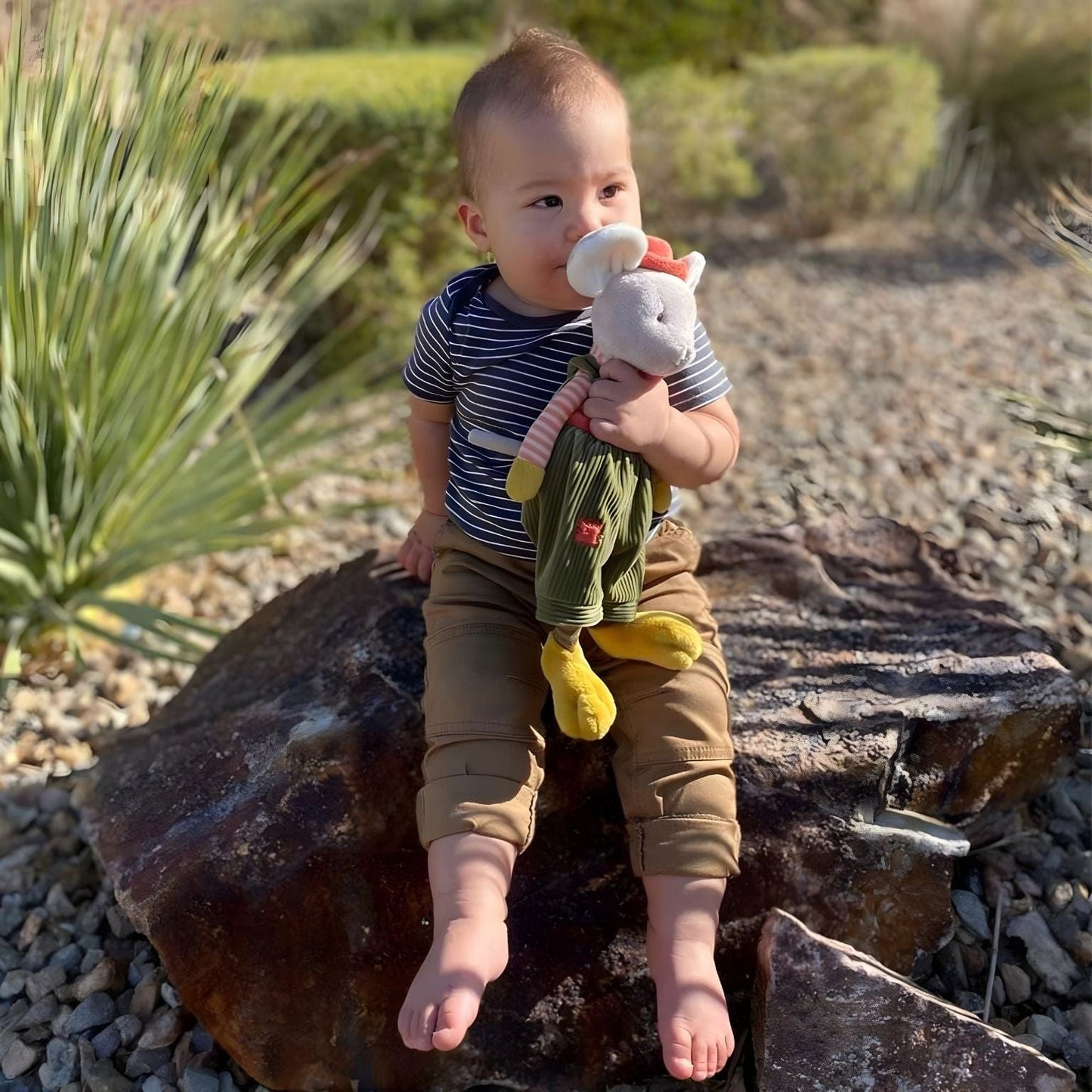 Apresentamos Peluche Rato Henry com o SKU 521515922 recomendado para + 0 meses