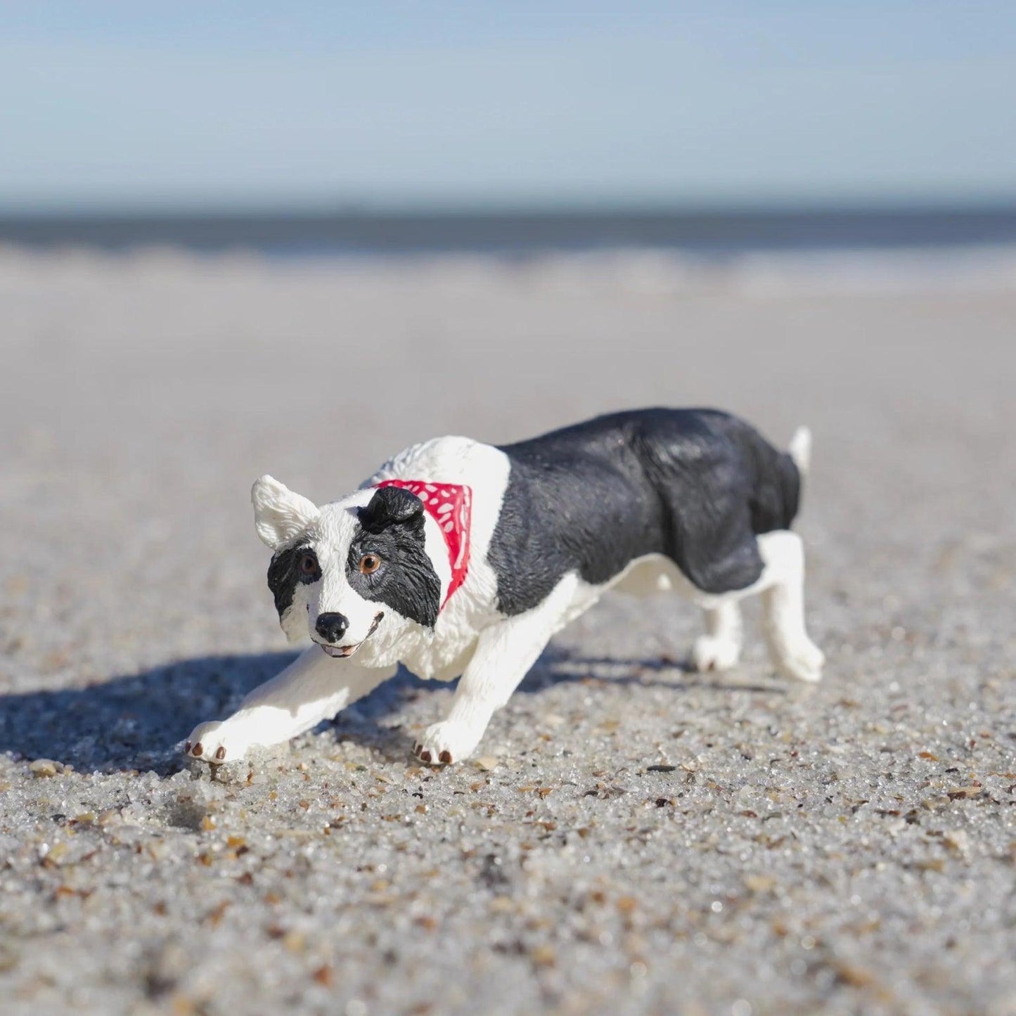 Apresentamos Figura de borracha – Border Collie com o SKU 435452925 recomendado para + 3 anos
