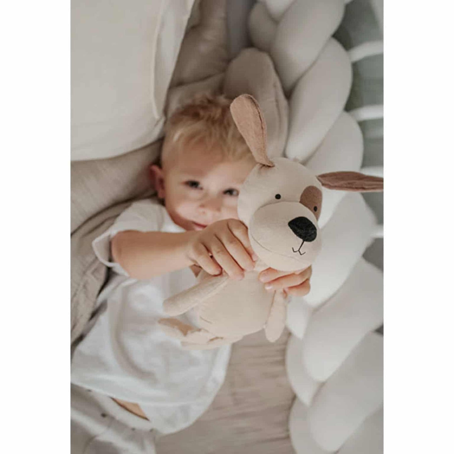 Apresentamos Peluche Buddy Puppy com o SKU 76018723 recomendado para + 0 meses