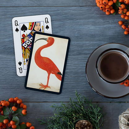 Cartas do Baralho Duplo Ibis numa mesa junto a uma chávena de chá