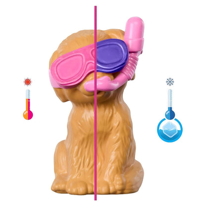 Barbie Festa das mascotes na Piscina com boneca Barbie, piscina e cachorrinhos, festa de verão com acessórios