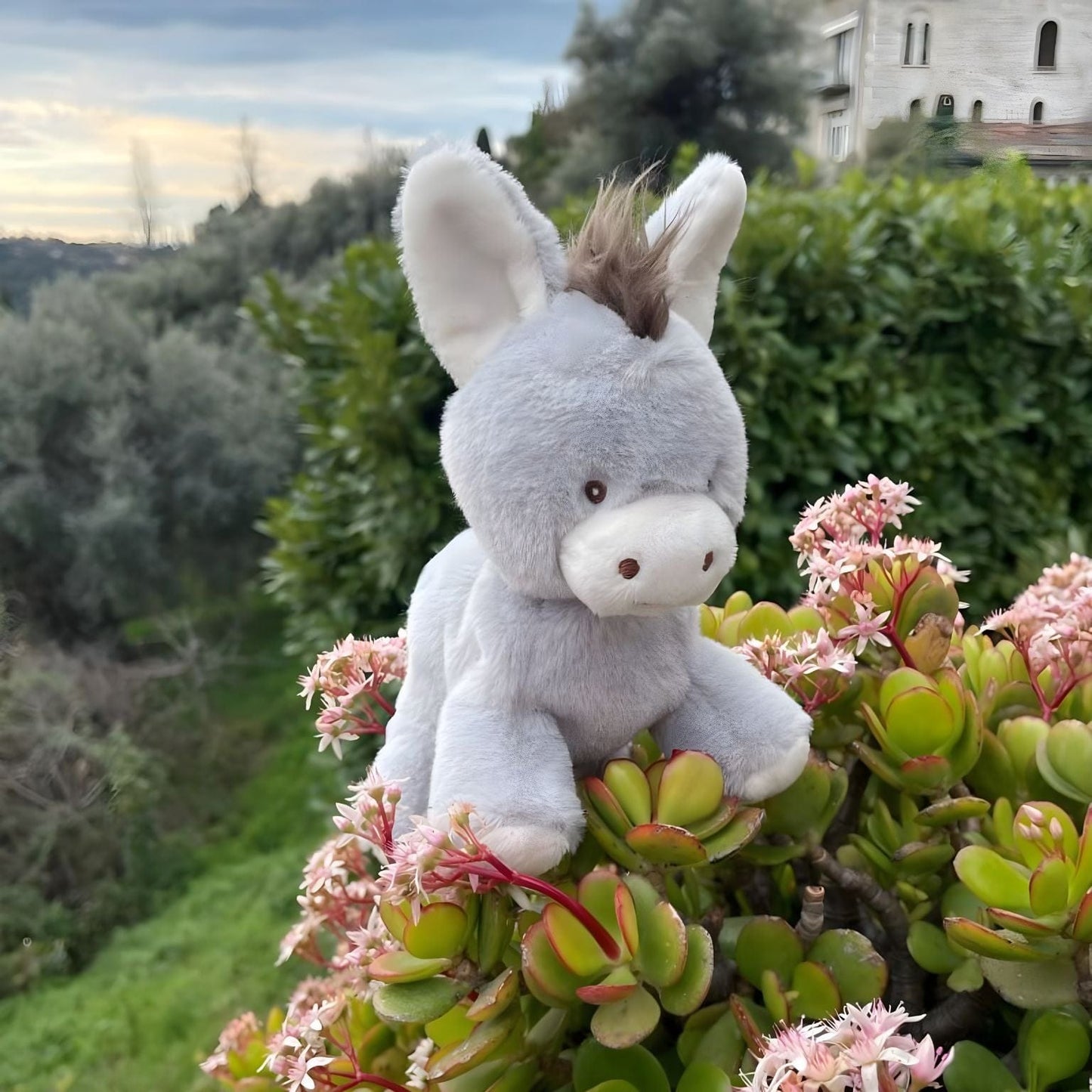 Burrinho de peluche bebé Christopher cinzento com crina castanha e expressão meiga