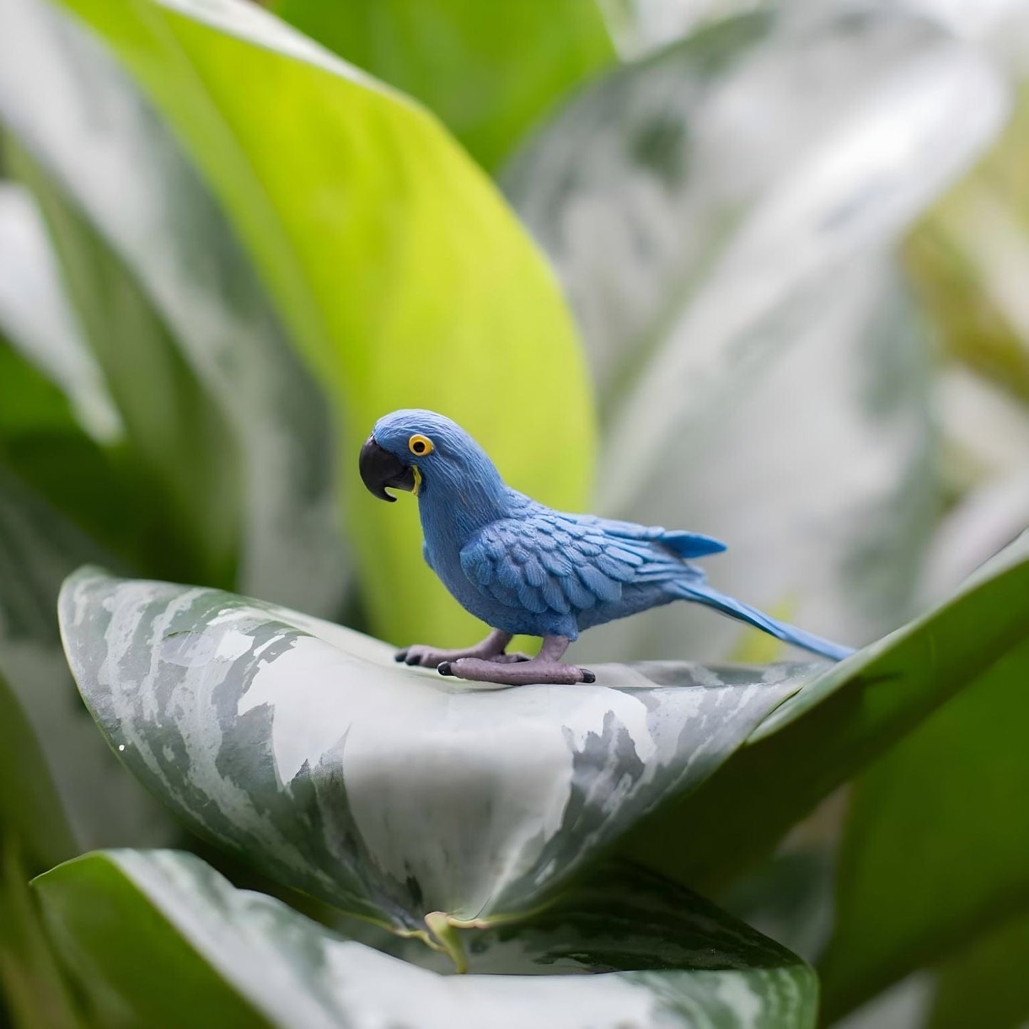 Figura de borracha Arara azul em outra perspetiva