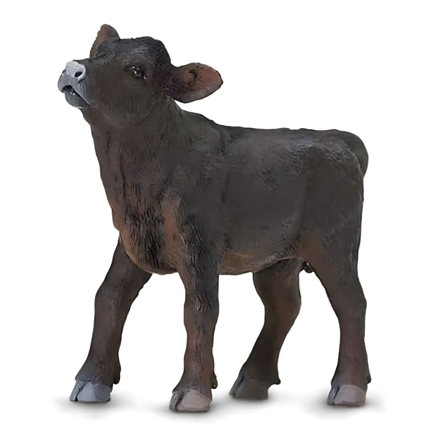 Figura de borracha Bezerro Angus em perspetiva frontal