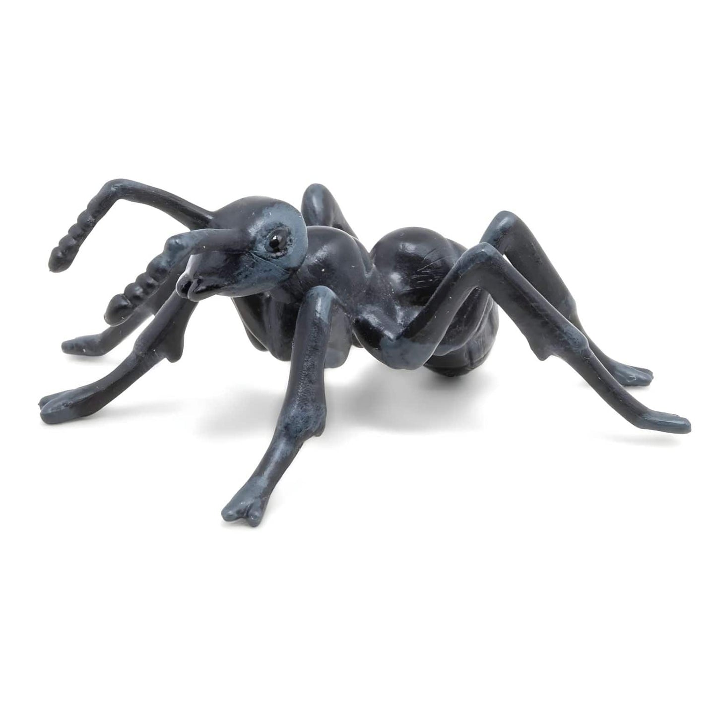 Figura de borracha formiga em vista complementar