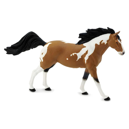 Garanhão Mustang Pinto a galopar, visto de lado