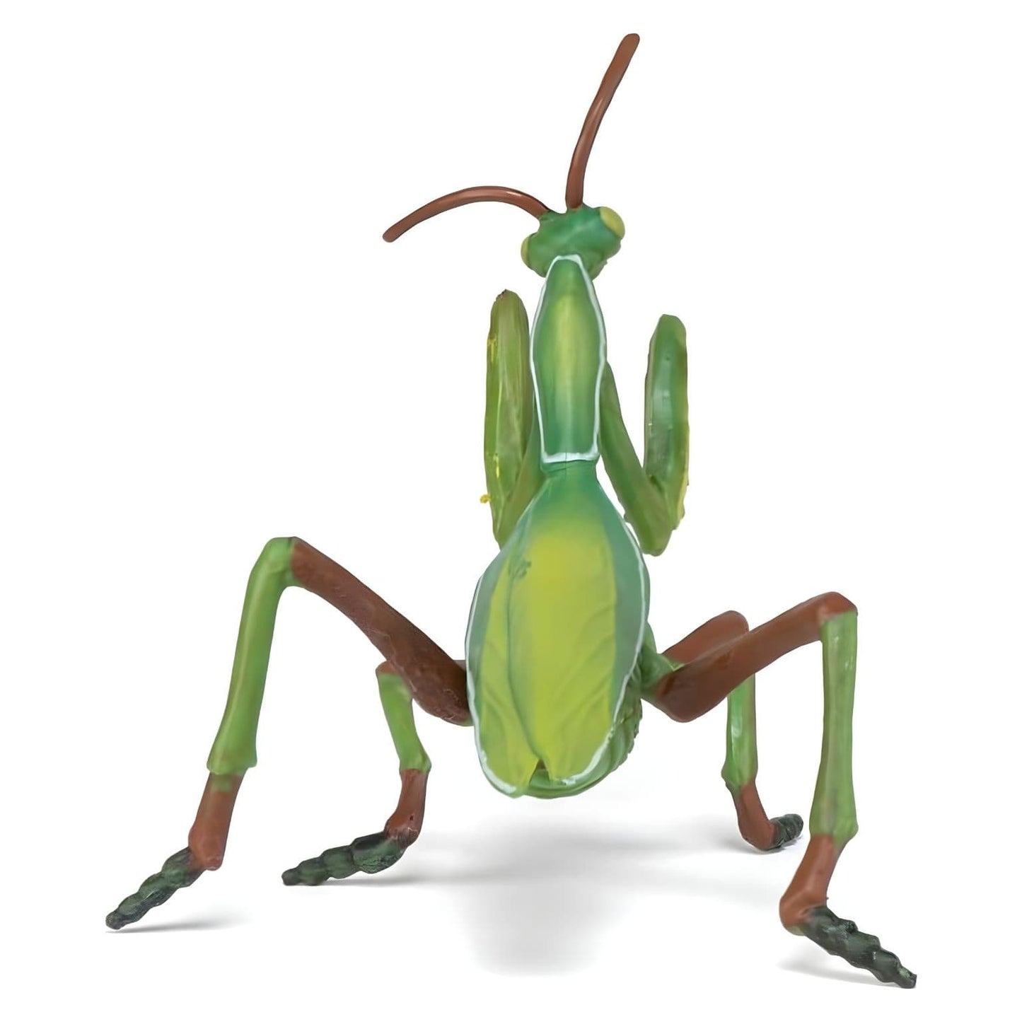 Figura de borracha Louva-a-deus da Brincatoys.