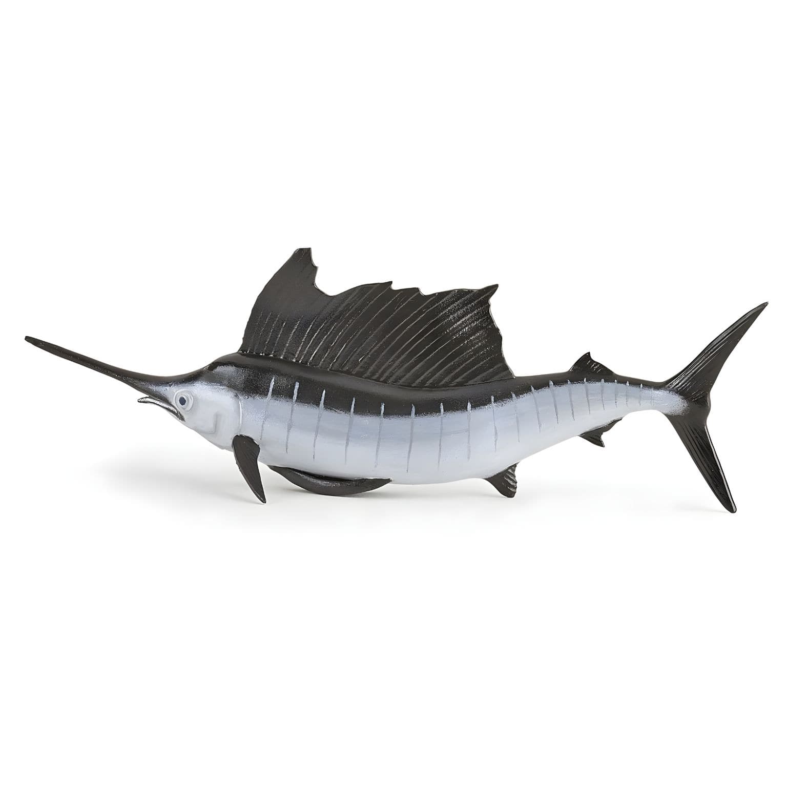 Figura de borracha peixe-vela em vista complementar