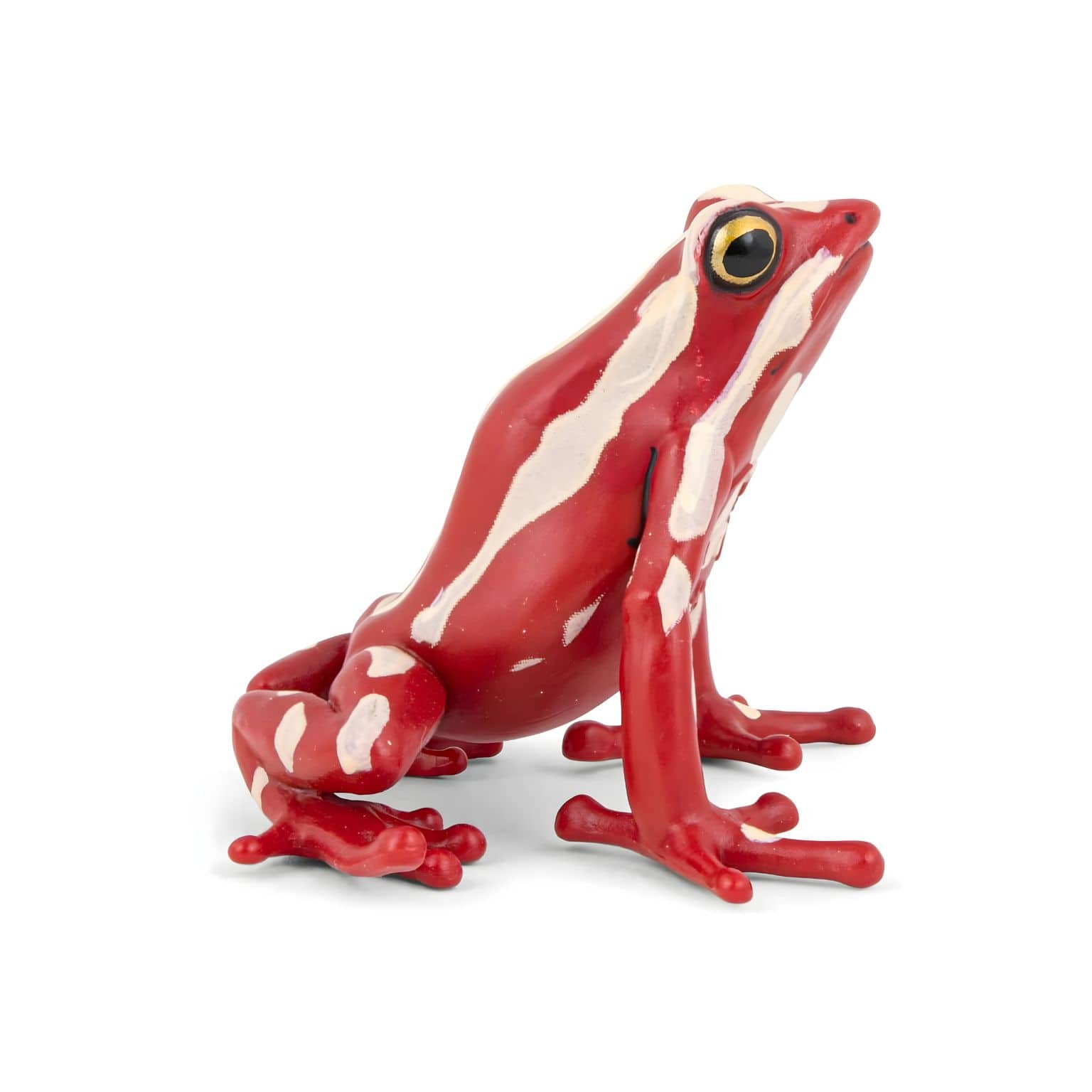 Figura de borracha Rã-de-seta-tricolor da Brincatoys.