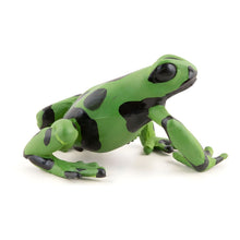 Figura de borracha rã-verde equatorial em vista lateral