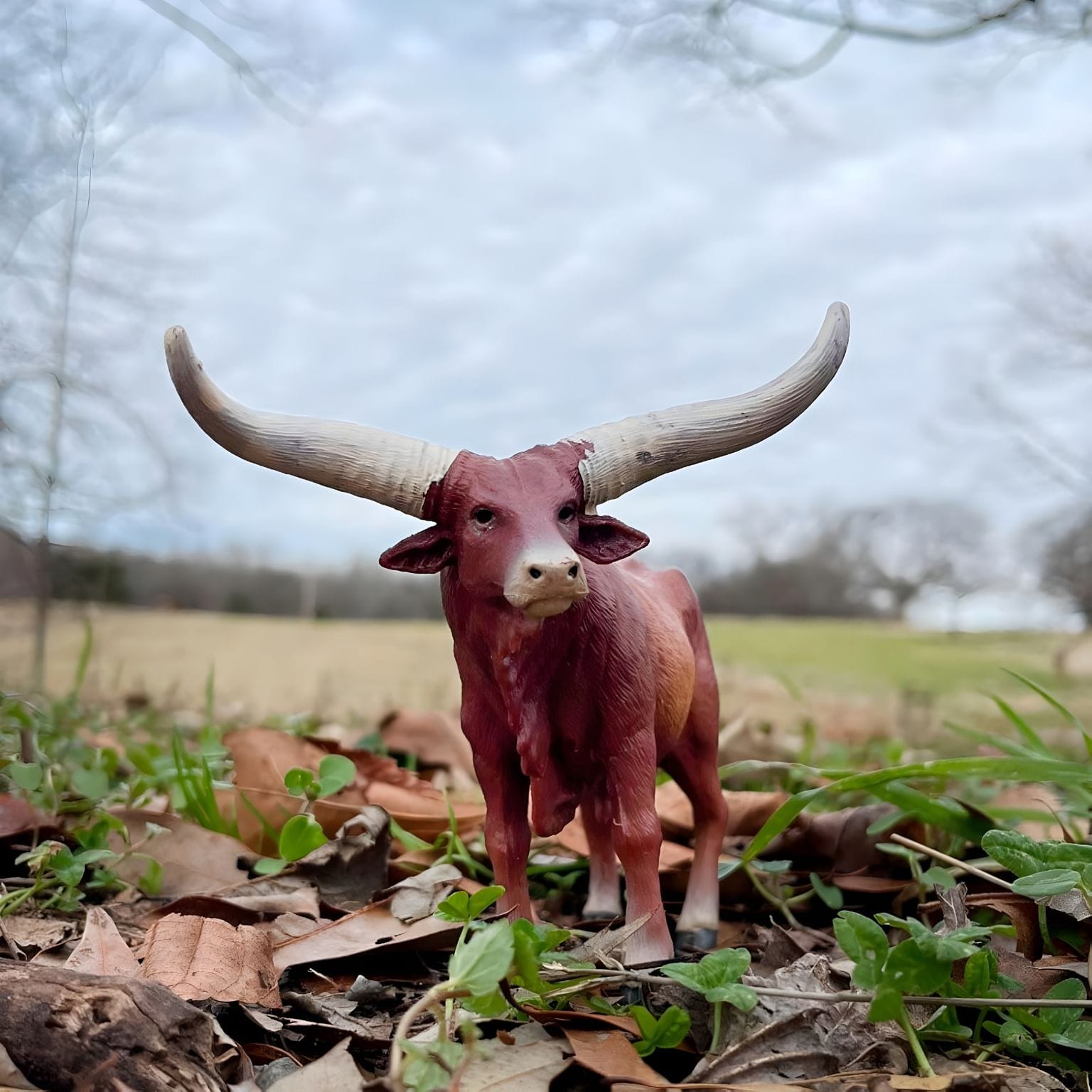 Figura de borracha Touro Ankole Watusi em outra perspetiva