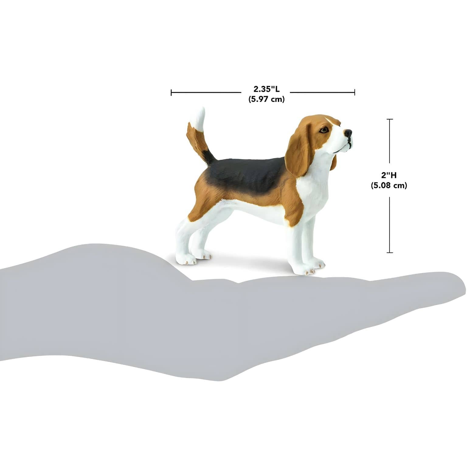 Figura de borracha Beagle com imagem complementar