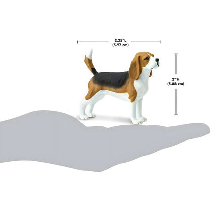 Figura de borracha Beagle com imagem complementar