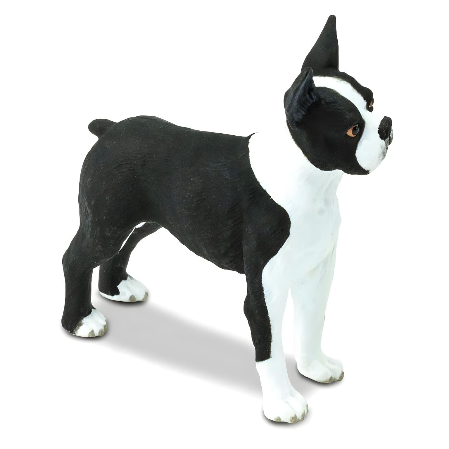 Figura de borracha Boston Terrier com vista adicional