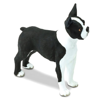 Figura de borracha Boston Terrier virado para a direita