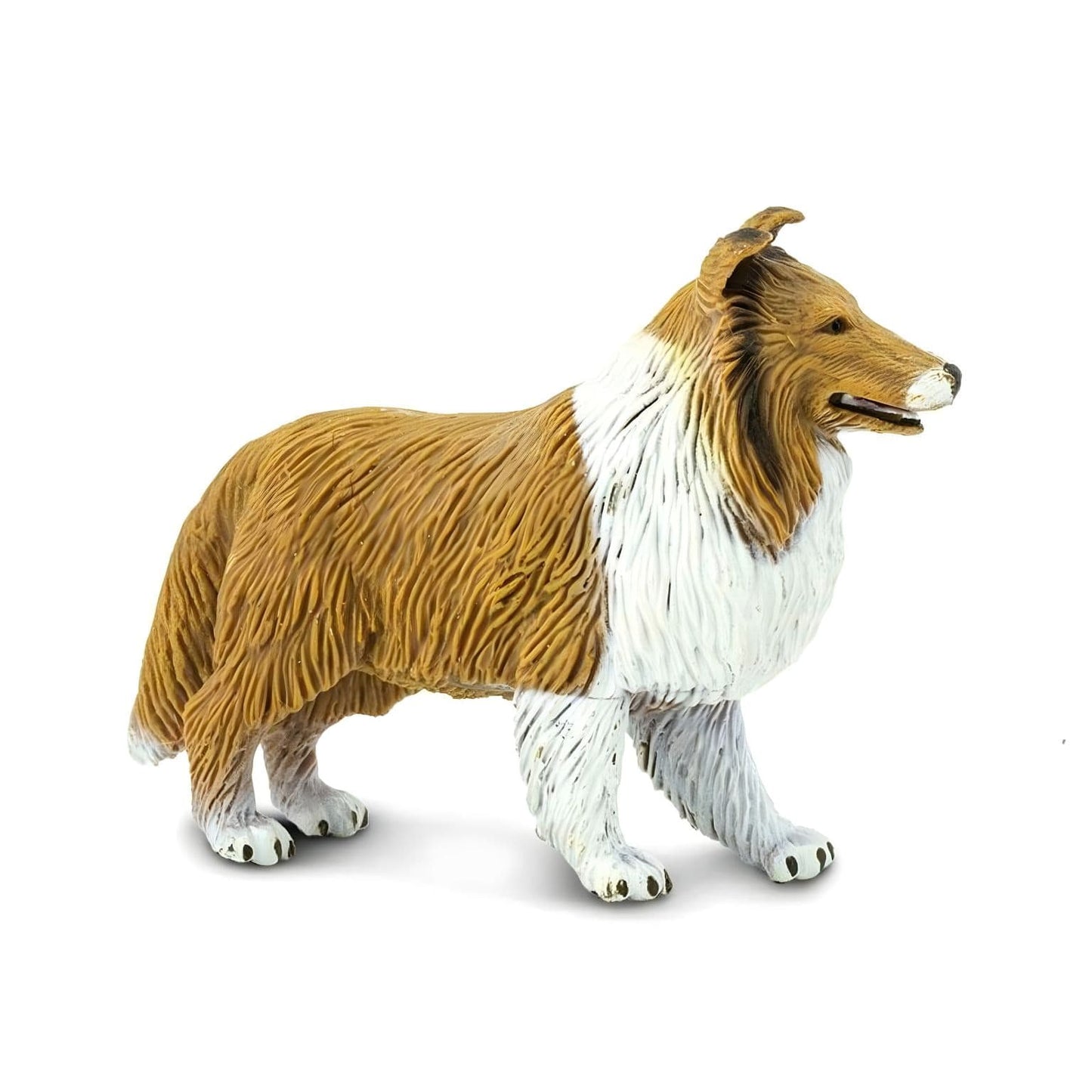 Figura de borracha Collie em outra perspetiva