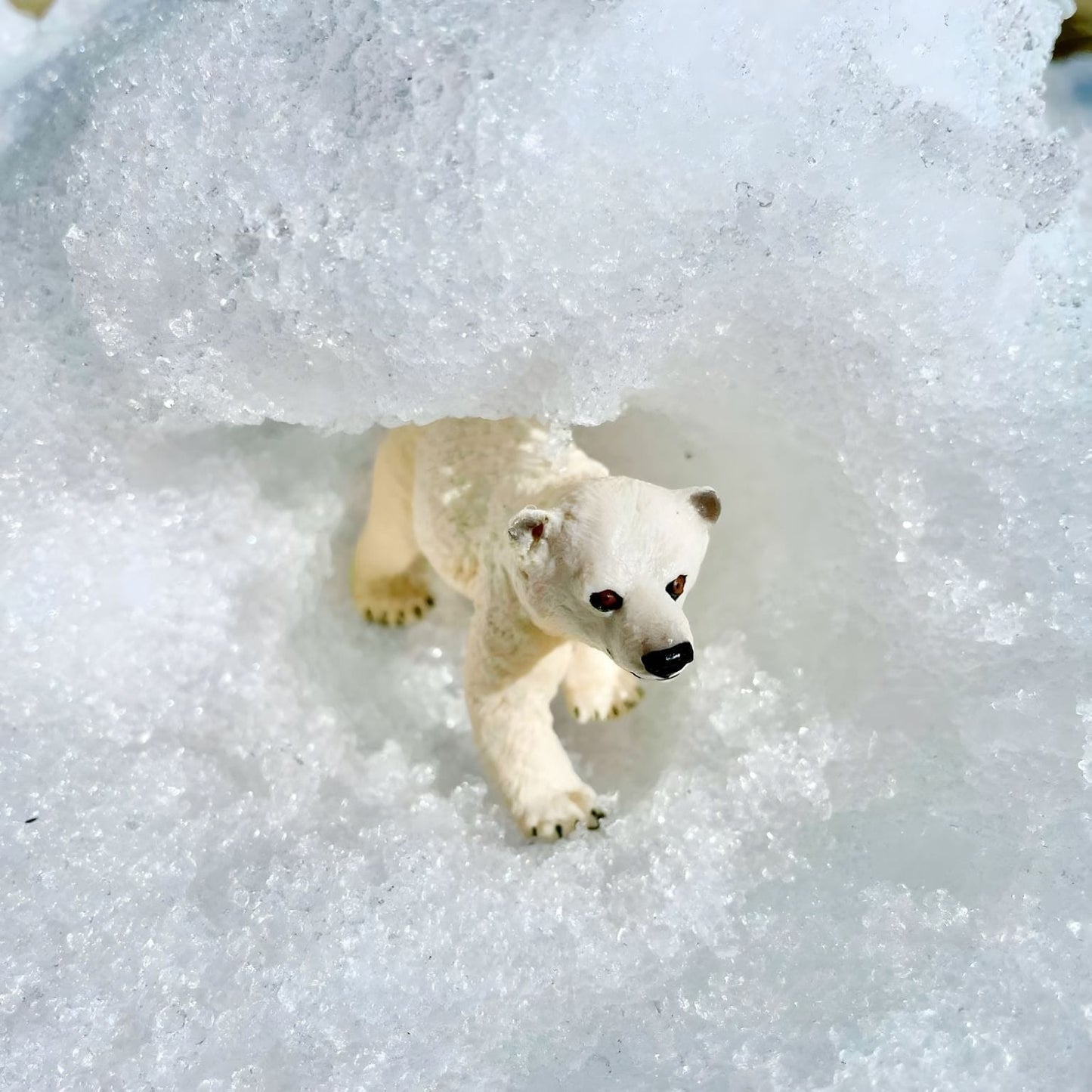 Figura de borracha cria de urso polar para brincadeiras sobre o Ártico