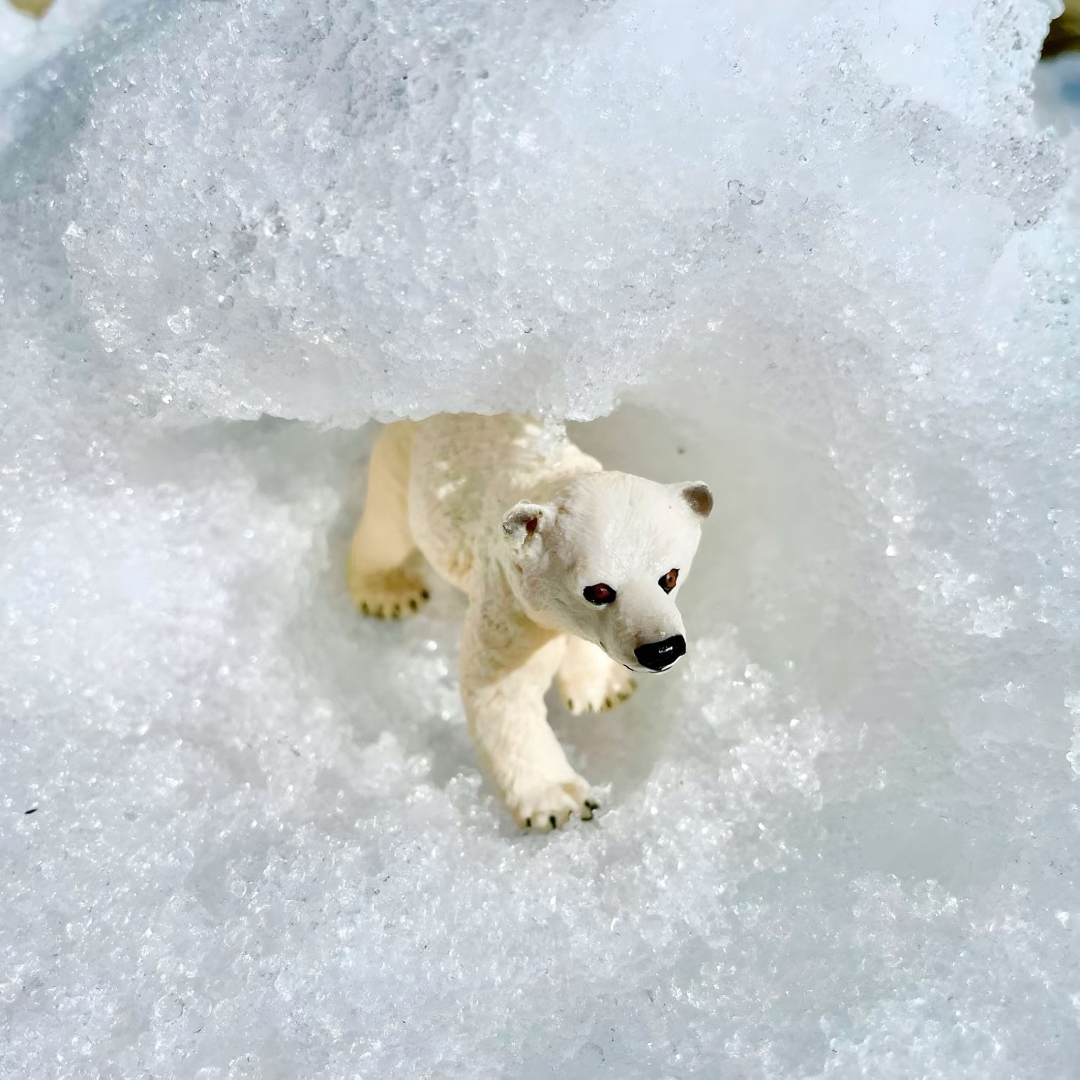 Figura de borracha cria de urso polar para brincadeiras sobre o Ártico