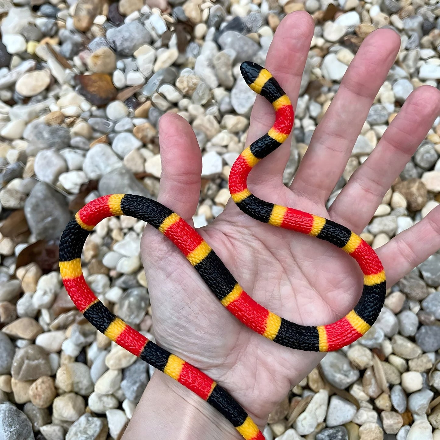 Figura de borracha Cria de cobra coral em outra perspetiva