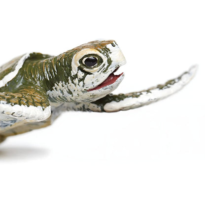 Figura de borracha Cria de tartaruga Boba, pormenor da cabeça