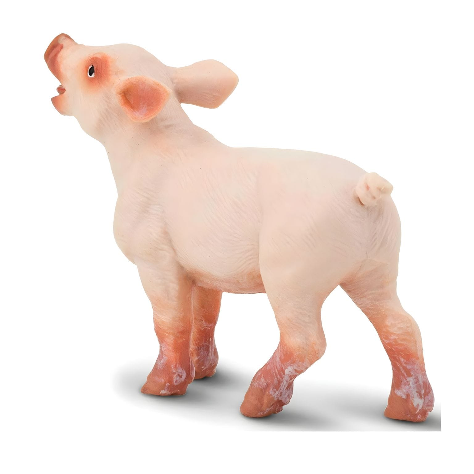 Figura de borracha Leitão em perspetiva frontal