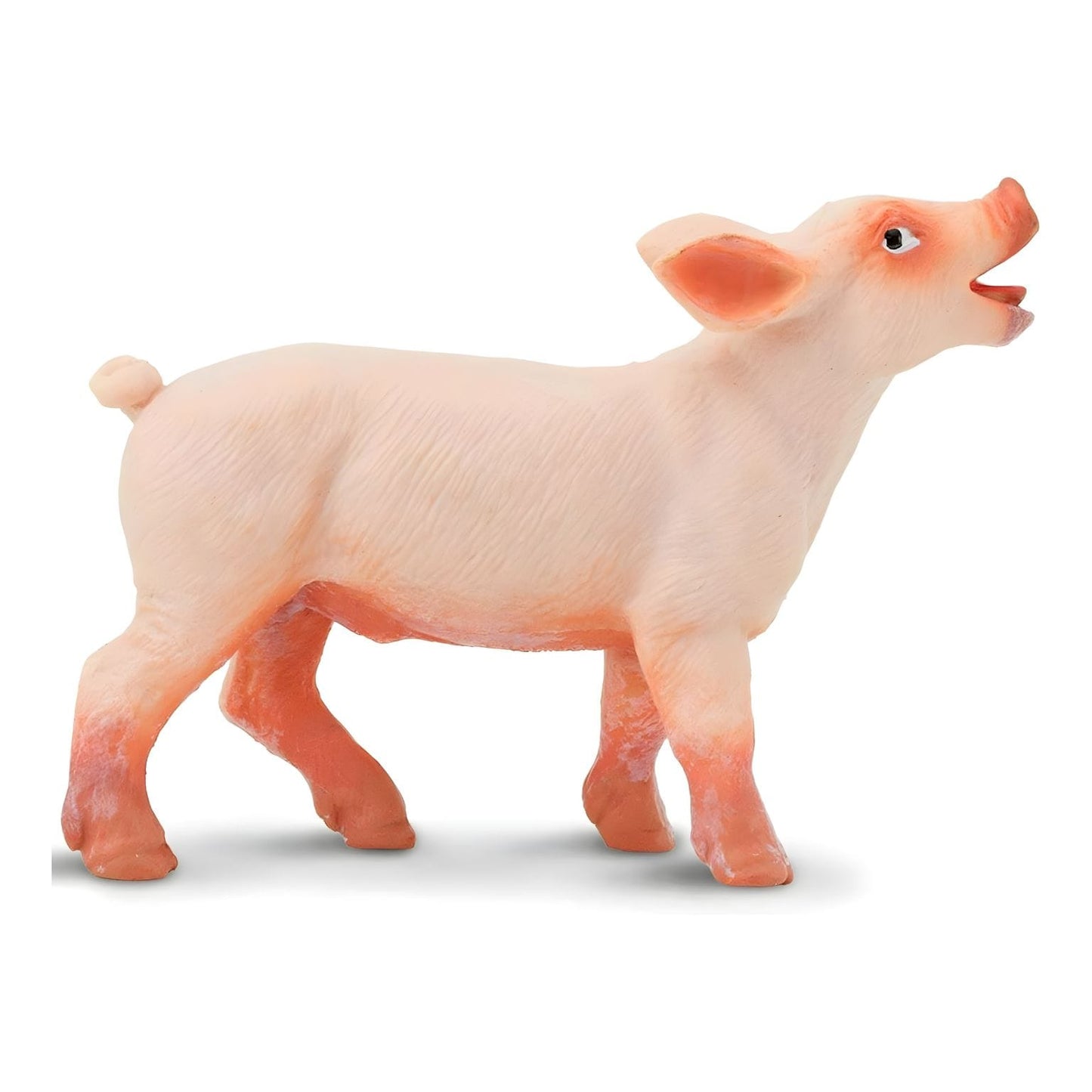 Figura de borracha Leitão em detalhe