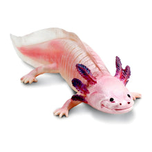 Figura de Borracha Axolotl para brincadeiras de natureza e imaginação