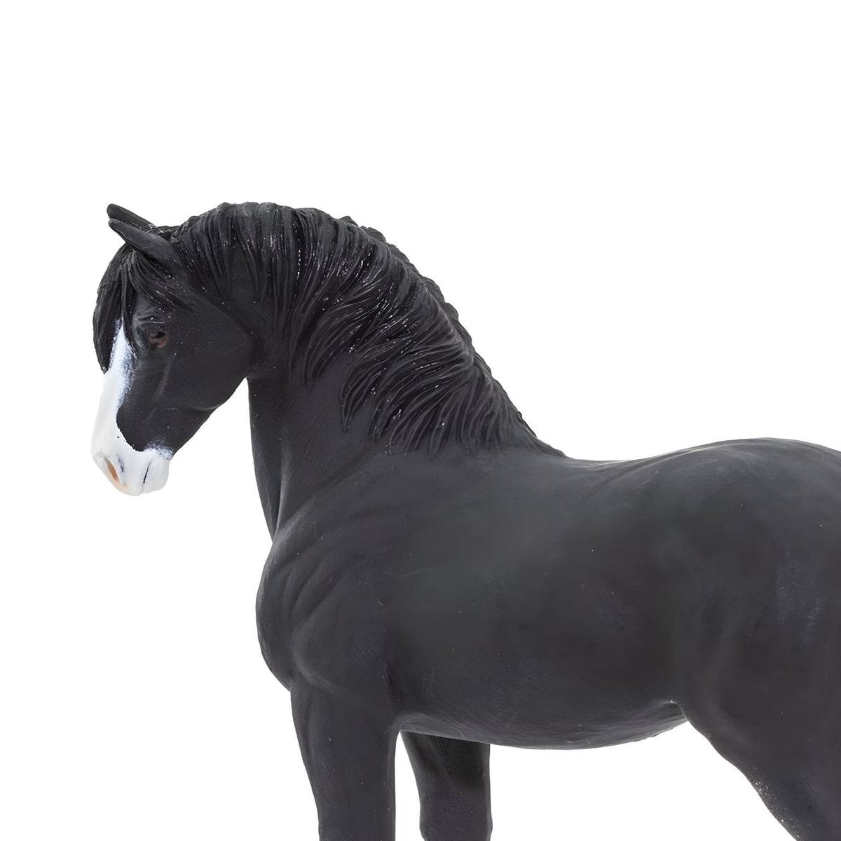Figura de garanhão Shire Safari Ltd para descoberta das raças de cavalos