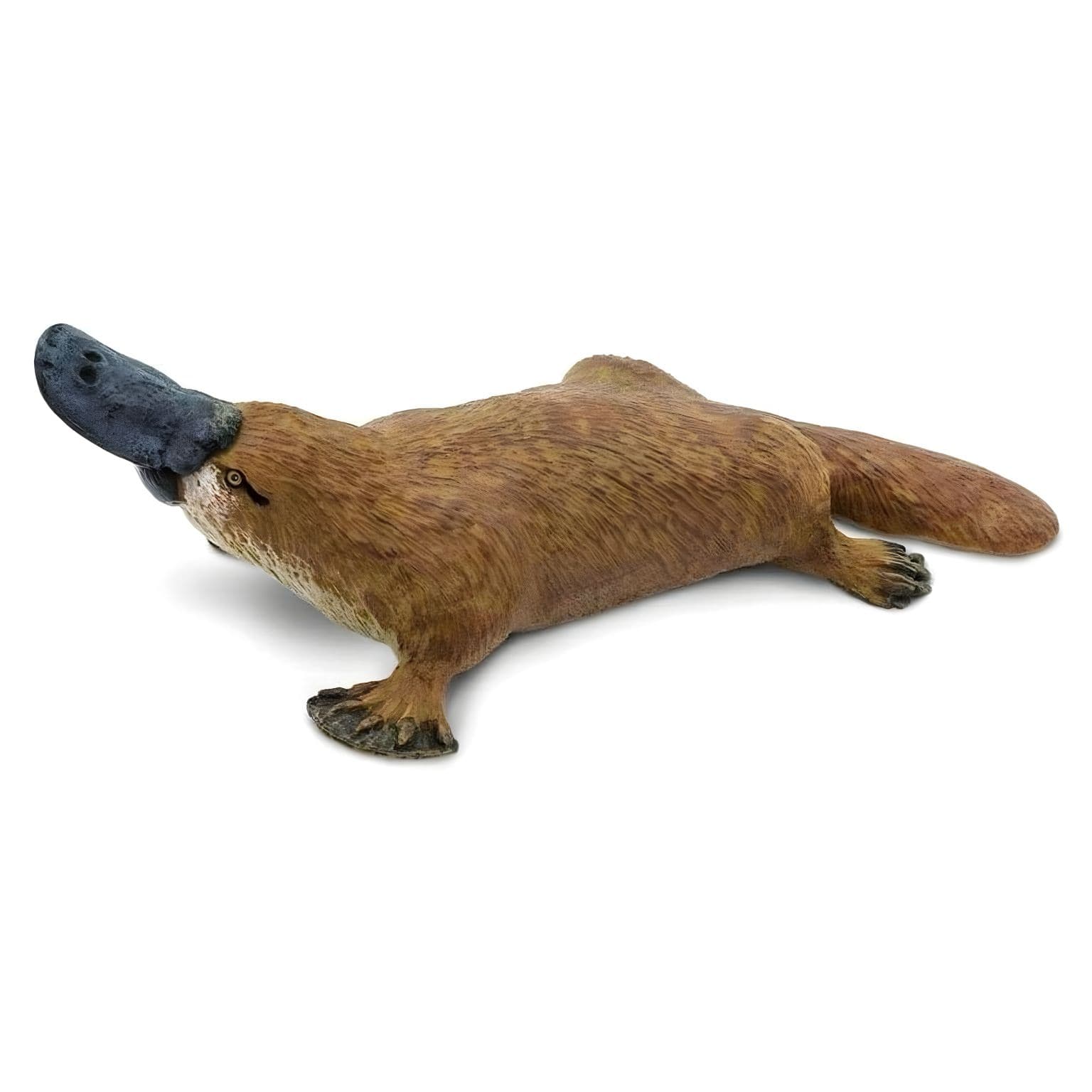 Figura de borracha Ornitorrinco em vista lateral