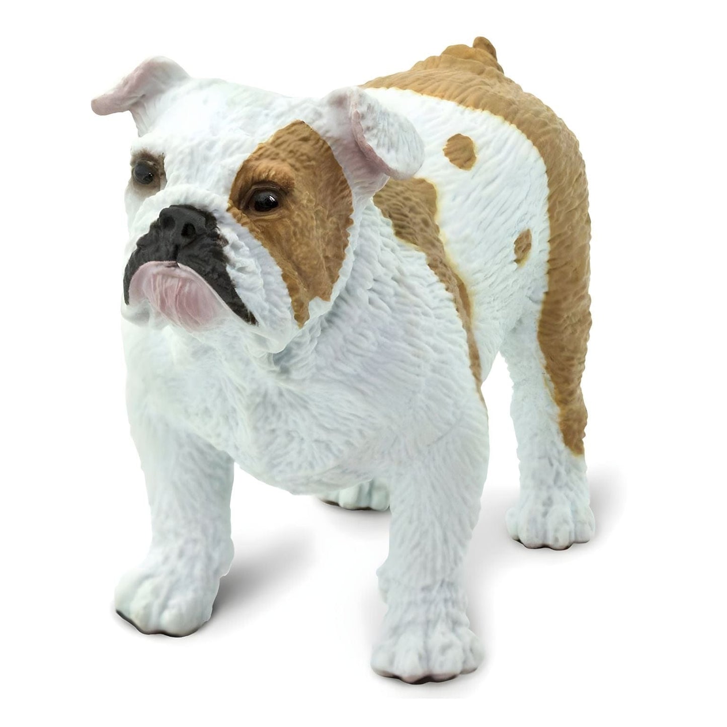 Figura de borracha Buldogue em destaque