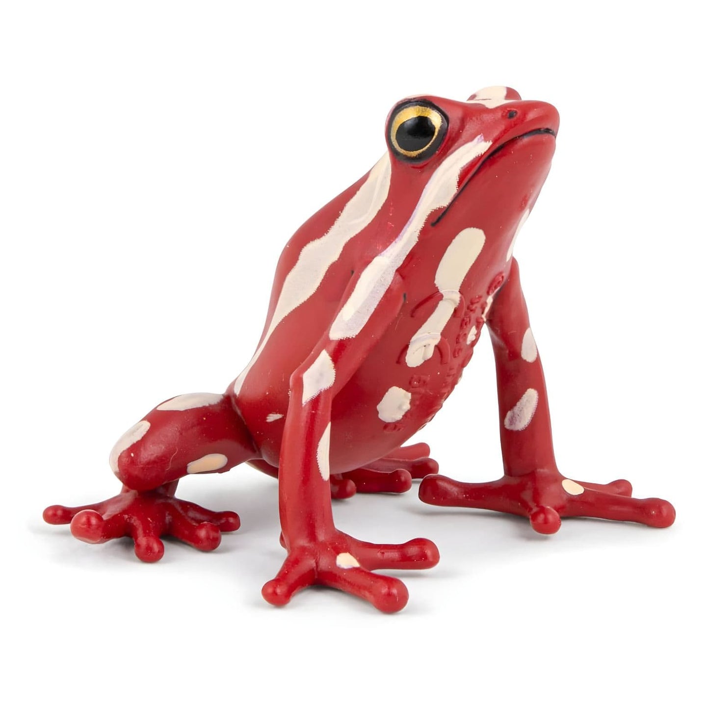 Figura de borracha Rã-de-seta-tricolor da Brincatoys.