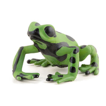 Figura de borracha rã-verde equatorial em vista principal
