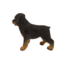 Cria Rottweiler de brinquedo em figura de borracha