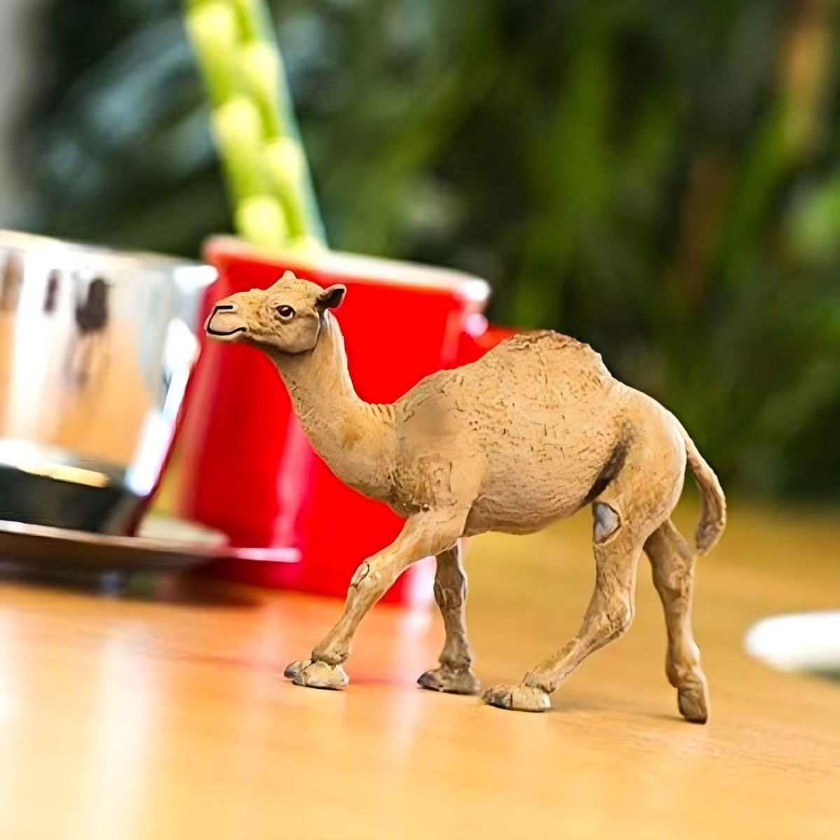 Miniatura de dromedário Safari Ltd para coleção de animais selvagens