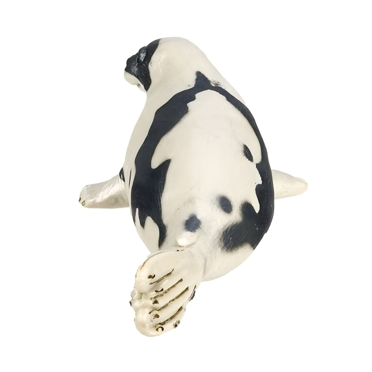 Foca Safari Ltd para coleção de animais marinhos e brincadeira imaginativa