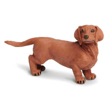 Figura de borracha Teckel em destaque
