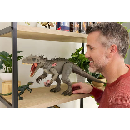Adulto a observar a Jurassic World Hammond Collection Indominus Rex numa estante