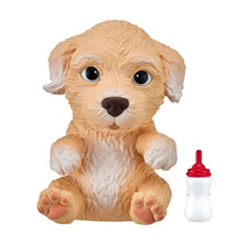 Detalhe do Little Live Pets OMG Poodle cheio de encanto