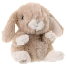 Apresentamos Coelho creme de Peluche 15 cm com o SKU 522783024 recomendado para + 6 meses