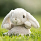 Apresentamos Coelho de Peluche Blue 15 cm com o SKU 527921224 recomendado para + 6 meses