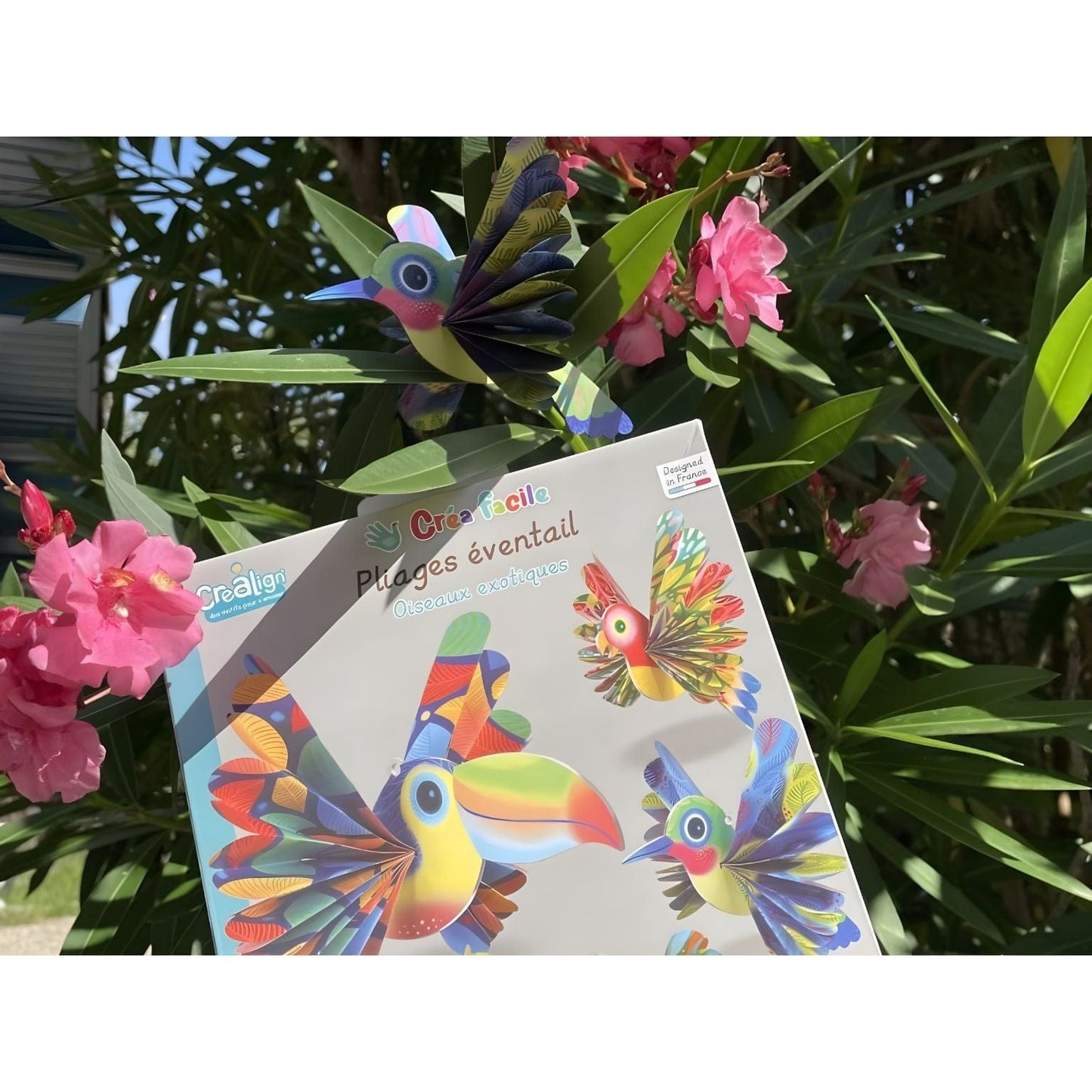 Apresentamos Dobragem em leque - Aves Exóticas com o SKU 711398325 recomendado para + 4 anos