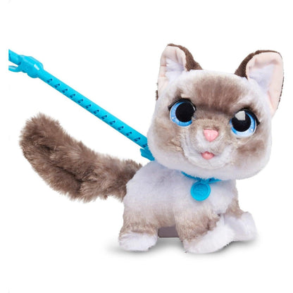 Gato FurReal Friends Wagalots Kitty fora da caixa, com olhos azuis e trela azul