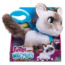 Apresentamos Fur Real Friends Wagalots Kitty com o SKU 778059724 recomendado para + 3 anos