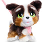 Apresentamos Fur Real Friends Walkalots Bernedoodle com o SKU 858056624 recomendado para + 3 anos